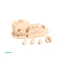 DentaMODEL_02_1.webp